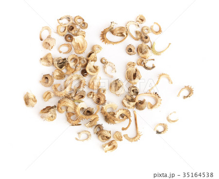 Seeds of common marigold or Calendula officinalis 35164538