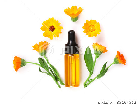 aromatherapy essential oil with marigold flowers aromatherapy essential oil with marigold flowers 35164552