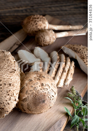 Macrolepiota procera, very tasty edible mushroom Macrolepiota procera, very tasty edible mushroom 35164836
