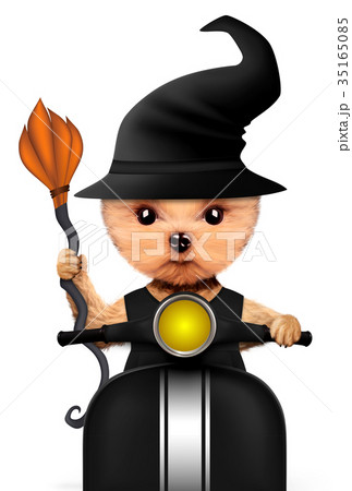 Funny animal witch. Halloween and Dead day concept 35165085