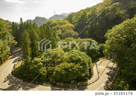 秋のめがね橋から国道を俯瞰 35165179