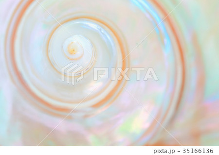 Mother of pearl sea shell close up background Mother of pearl sea shell close up background 35166136