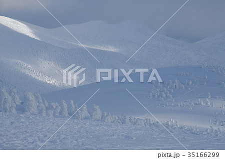 冬の八甲田山頂 35166299