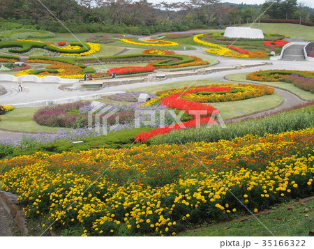 秋のみちのくの杜湖畔公園 35166322