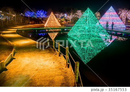 あしかがフラワーパークのイルミネーション 光のピラミッドで写真を撮る人 あしかがフラワーパークのイルミネーション 光のピラミッドで写真を撮る人 35167553