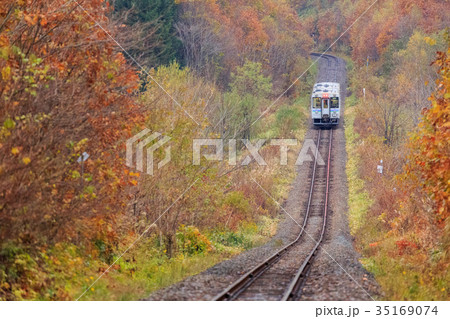 夕暮れの富良野線 35169074