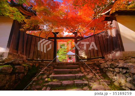 Nison'in Temple black door in autumn 35169259