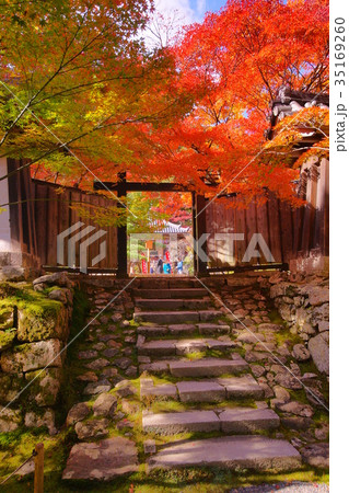 Nison'in Temple black door in autumn 35169260