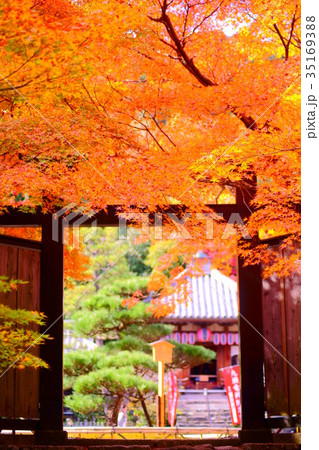 Nison'in Temple black door in autumn 35169388