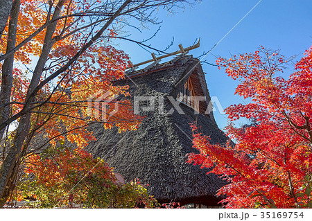 富士山(11月　河口湖　紅葉) 35169754