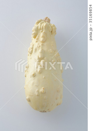 ハロウィンカボチャ ハロウィンカボチャ 35169854