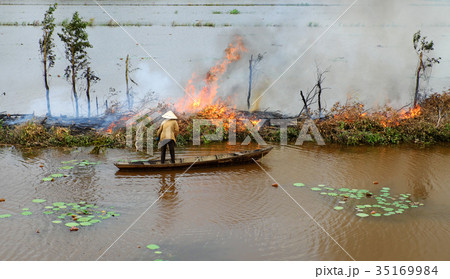 Asian woman on row boat, burn dry tree 35169984