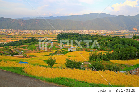 姨捨の棚田　 35170129