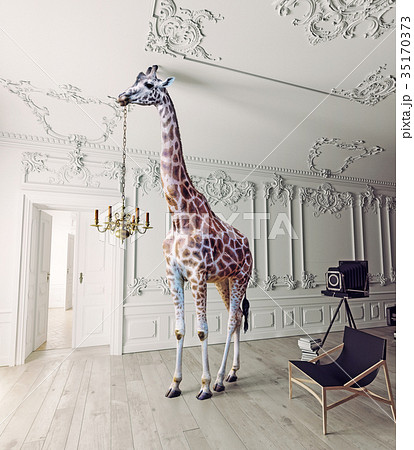 the giraffe hold the chandelier the giraffe hold the chandelier 35170373