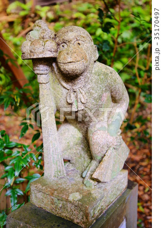 Taiho Shrine guardians monkey (komazaru) in autumn 35170497
