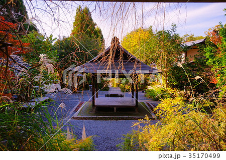 Taiho Shrine(Otoyo Shrine) in autumn 35170499