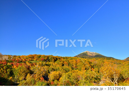 八甲田山の紅葉 35170645