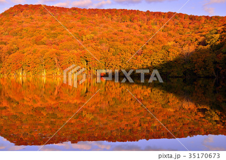 八甲田山の紅葉 八甲田山の紅葉 35170673