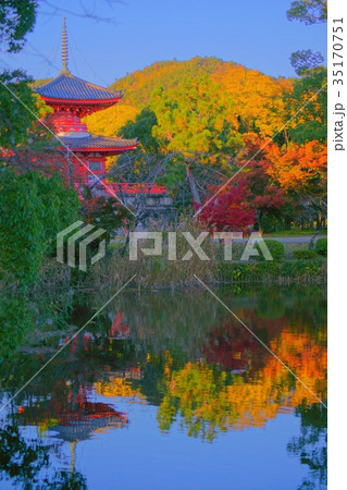 Daikakuji Temple pond in Early autumn 35170751