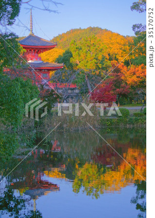 Daikakuji Temple pond in Early autumn 35170752