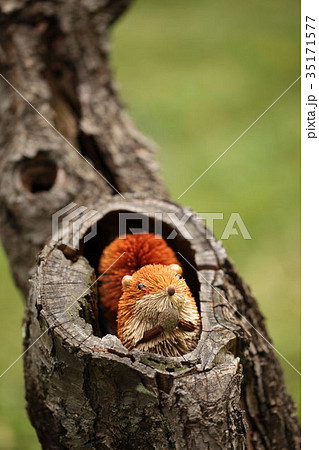 ミニリス-65 35171577