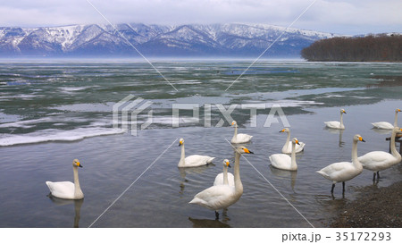 日本 ジャパン 日本国 35172293