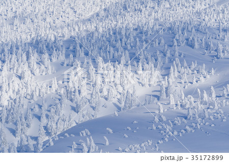 八甲田山の樹氷の写真素材