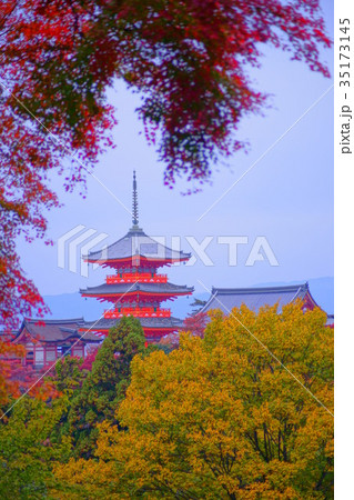 Kiyomizudera Temple Sanjunoto in autumn 35173145