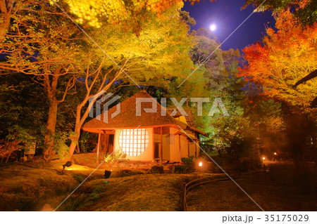 kodaiji temple tearoom in autumn 35175029