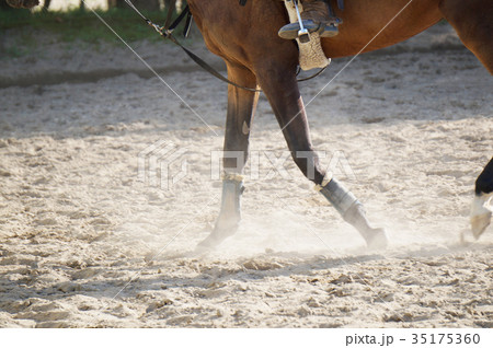 一歩一歩 35175360