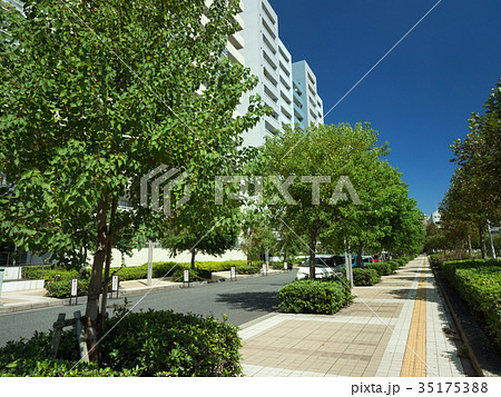 幕張の高層マンション街 35175388