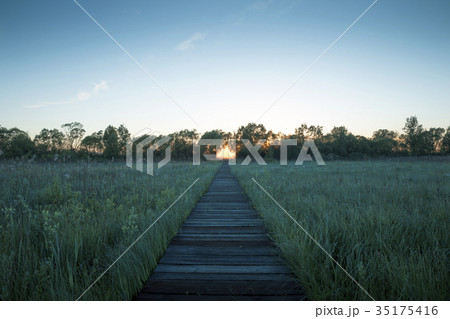 Biebrza National Park in Poland 35175416