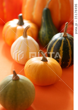 ハロウィン 35176496