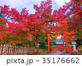 Tenryuji Temple Hachimansha in early autumn 35176662