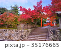 Tenryuji Temple Hachimansha in early autumn 35176665