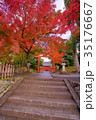 Tenryuji Temple Hachimansha in early autumn 35176667