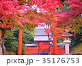 Tenryuji Temple Hachimansha in early autumn 35176753