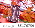 Tenryuji Temple Hachimansha in early autumn 35176759