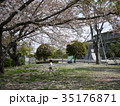 春、心躍るこども 35176871