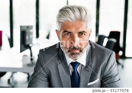 Mature businessman in gray suit in the office. Mature businessman in gray suit in the office. 35177076