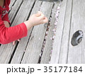 桜舞う公園で砂いじりする子供 35177184