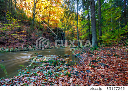 Autumn, fall wild river Doubrava, picturesque Autumn, fall wild river Doubrava, picturesque 35177266