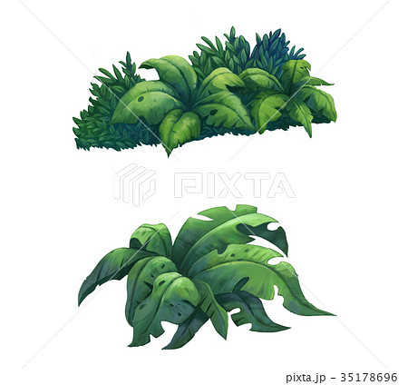 illustration of Bush 35178696