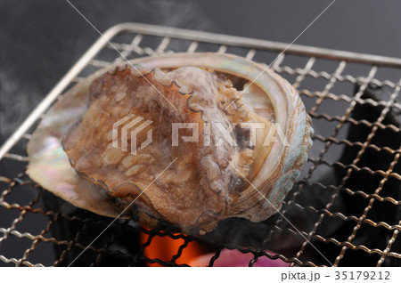 アワビ姿焼き　網焼き 35179212