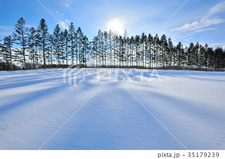 十勝の大平原 35179239