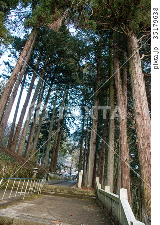 気多若宮神社に続く参道 気多若宮神社に続く参道 35179638