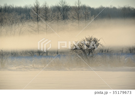 十勝平野の霧氷 十勝平野の霧氷 35179673
