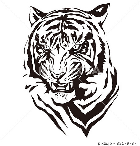 哺乳類 虎のイラストのイラスト素材 35179737 Pixta
