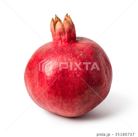Pomegranate Pomegranate 35180737
