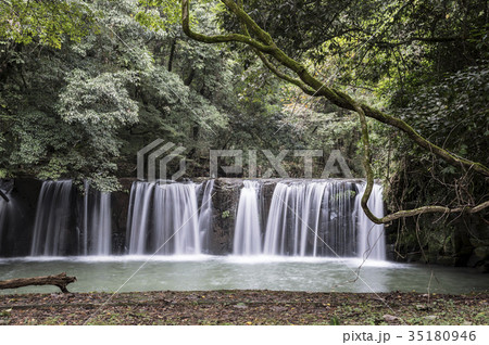 釘の花の滝 釘の花の滝 35180946